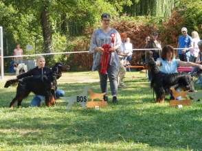 Agent Jordan in Schaafheim 2019